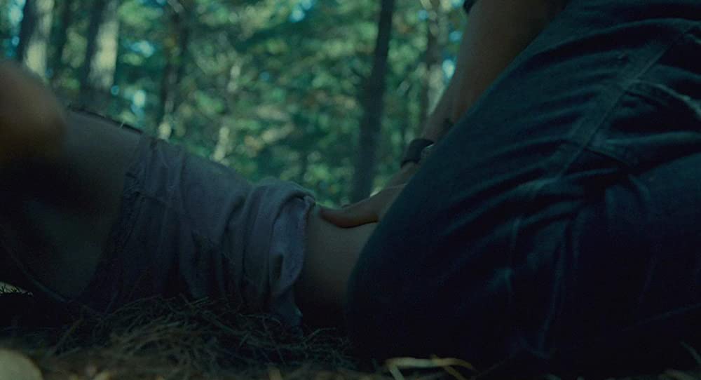 ラスト・ハウス・オン・ザ・レフト -鮮血の美学-の画像