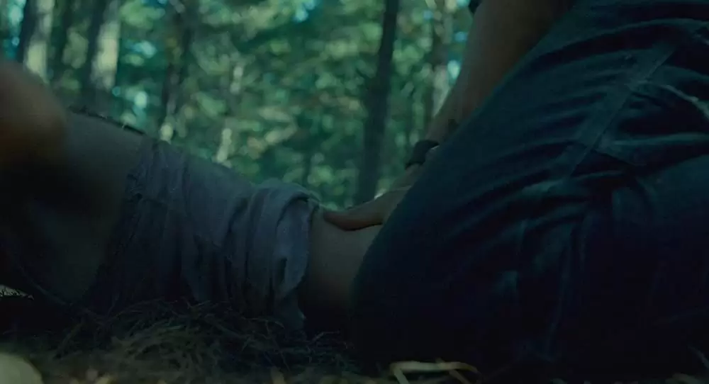 「ラスト・ハウス・オン・ザ・レフト -鮮血の美学-」ギャレット・ディラハント & サラ・パクストンの画像