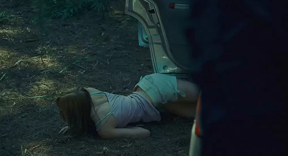 「ラスト・ハウス・オン・ザ・レフト -鮮血の美学-」アーロン・ポール & サラ・パクストンの画像