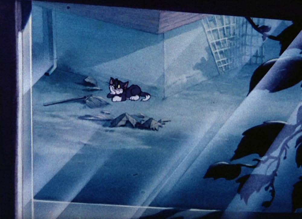 淋しがりやの画像