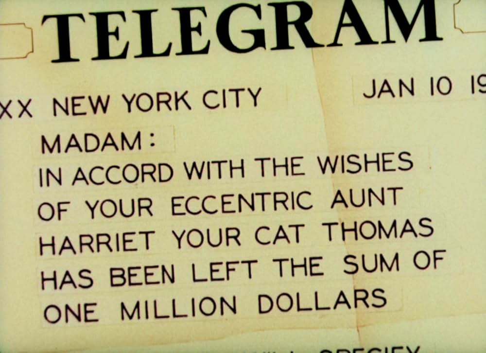 夢と消えた百万ドルの画像