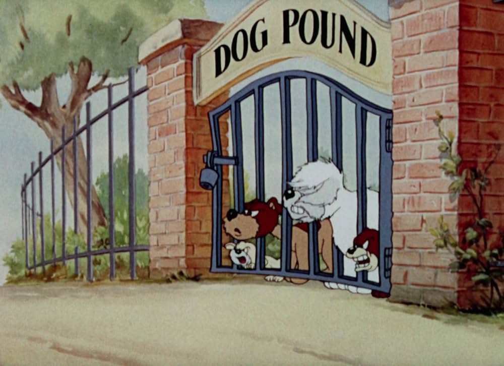 猫はやっぱり猫でしたの画像