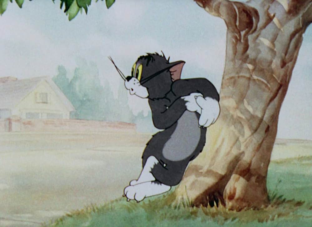 猫はやっぱり猫でしたの写真