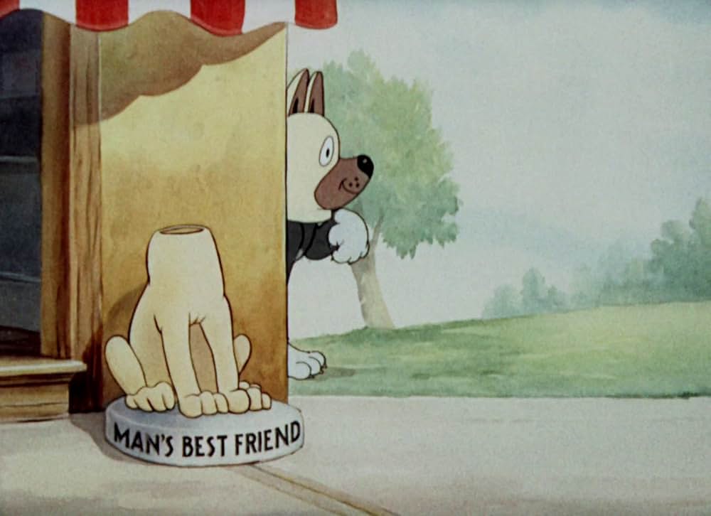 猫はやっぱり猫でしたの画像