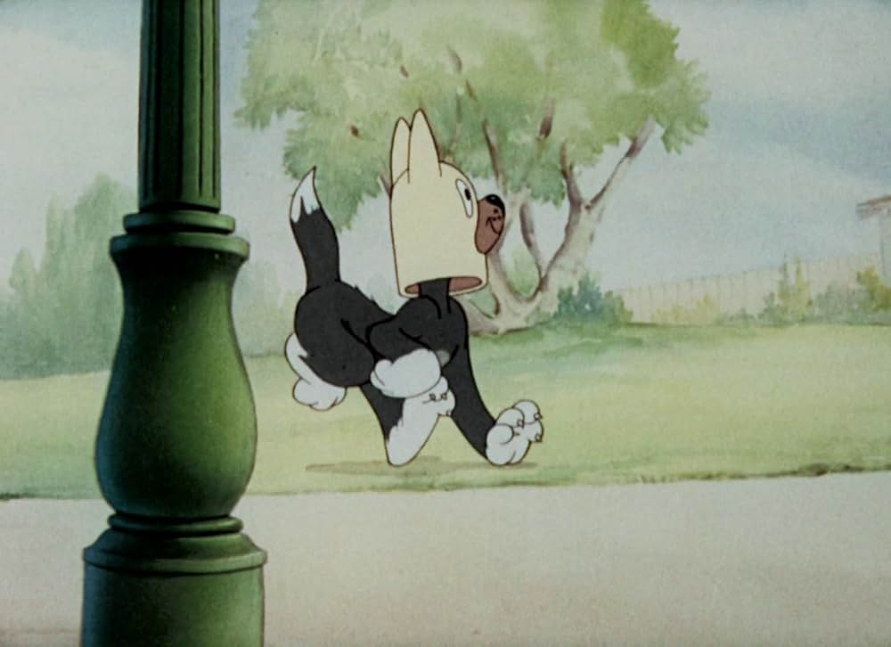 猫はやっぱり猫でしたの画像