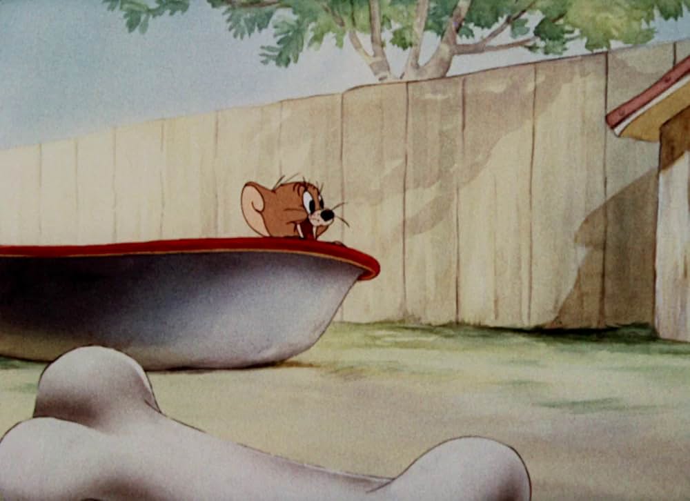 猫はやっぱり猫でしたの画像