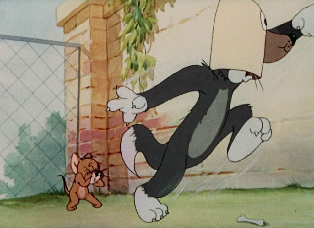 猫はやっぱり猫でしたの画像