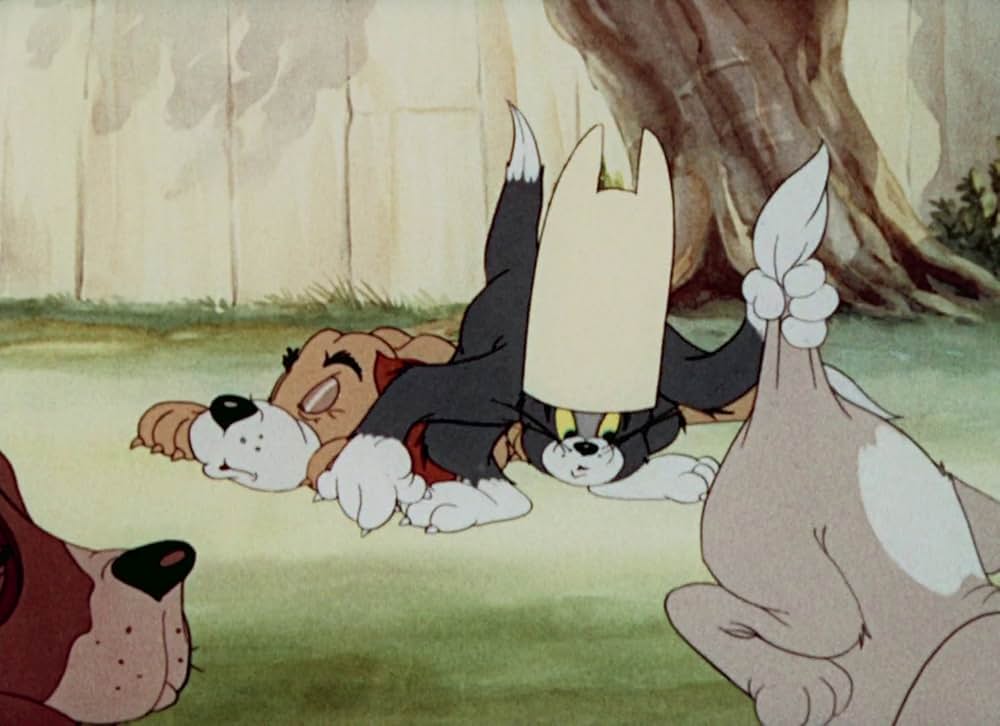 猫はやっぱり猫でしたの画像