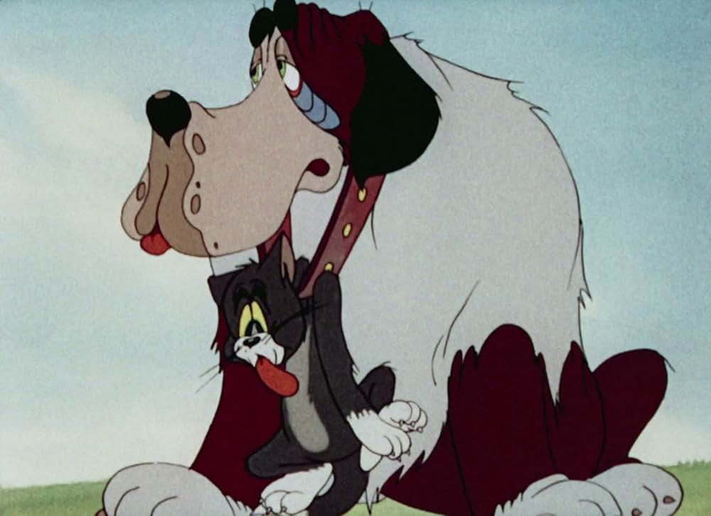 猫はやっぱり猫でしたの画像