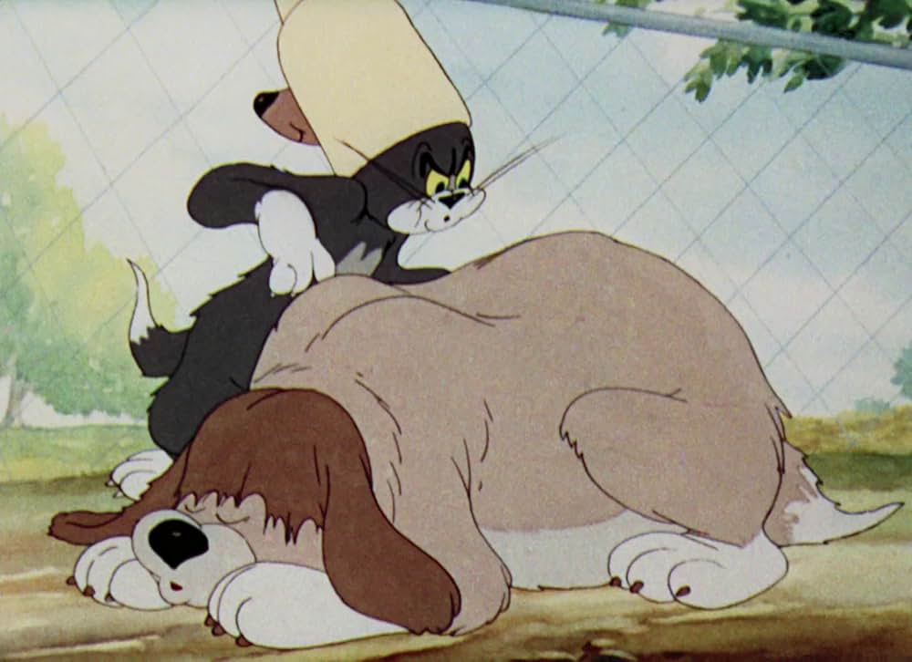 猫はやっぱり猫でしたの画像