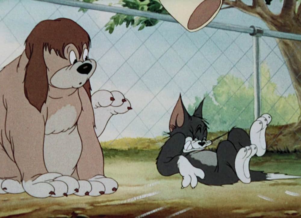 猫はやっぱり猫でしたの画像