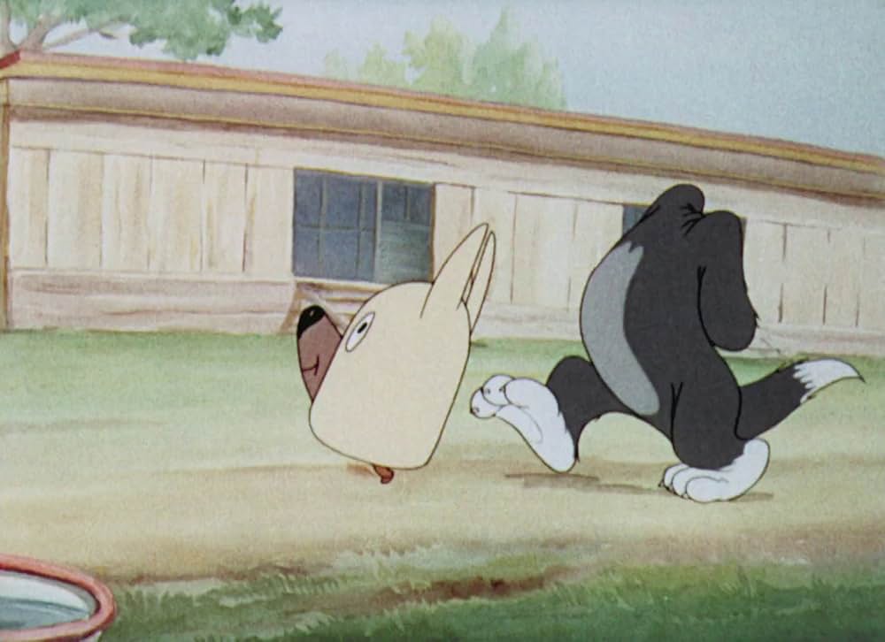 猫はやっぱり猫でしたの画像