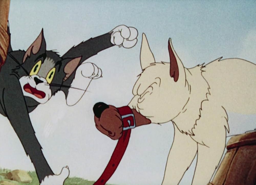 猫はやっぱり猫でしたの画像