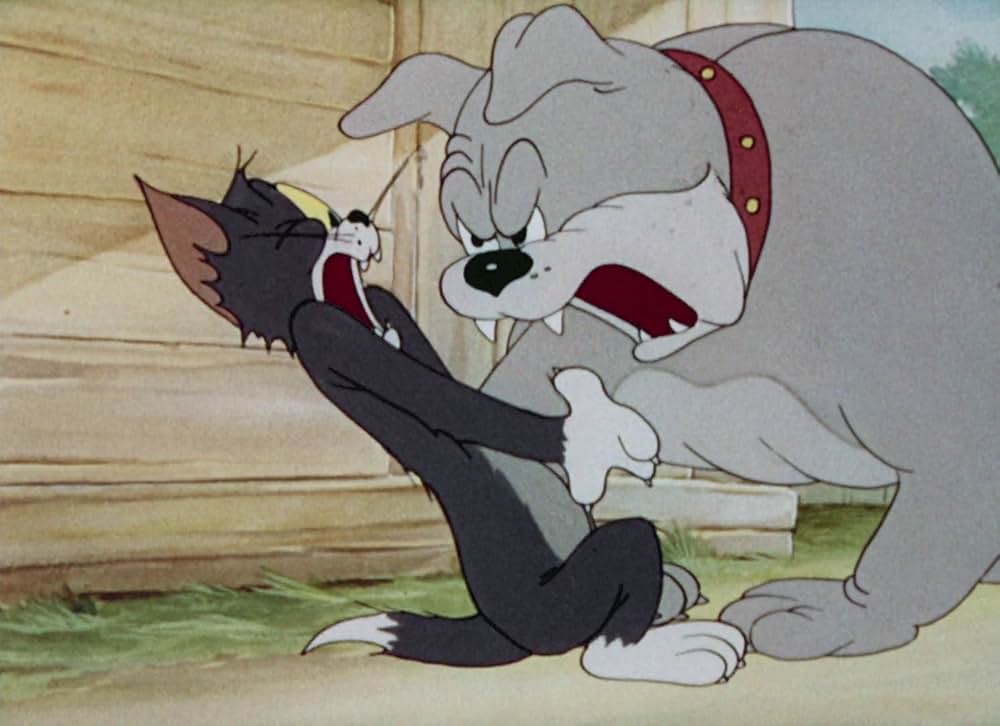 猫はやっぱり猫でしたの画像