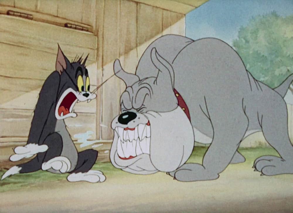 猫はやっぱり猫でしたの画像