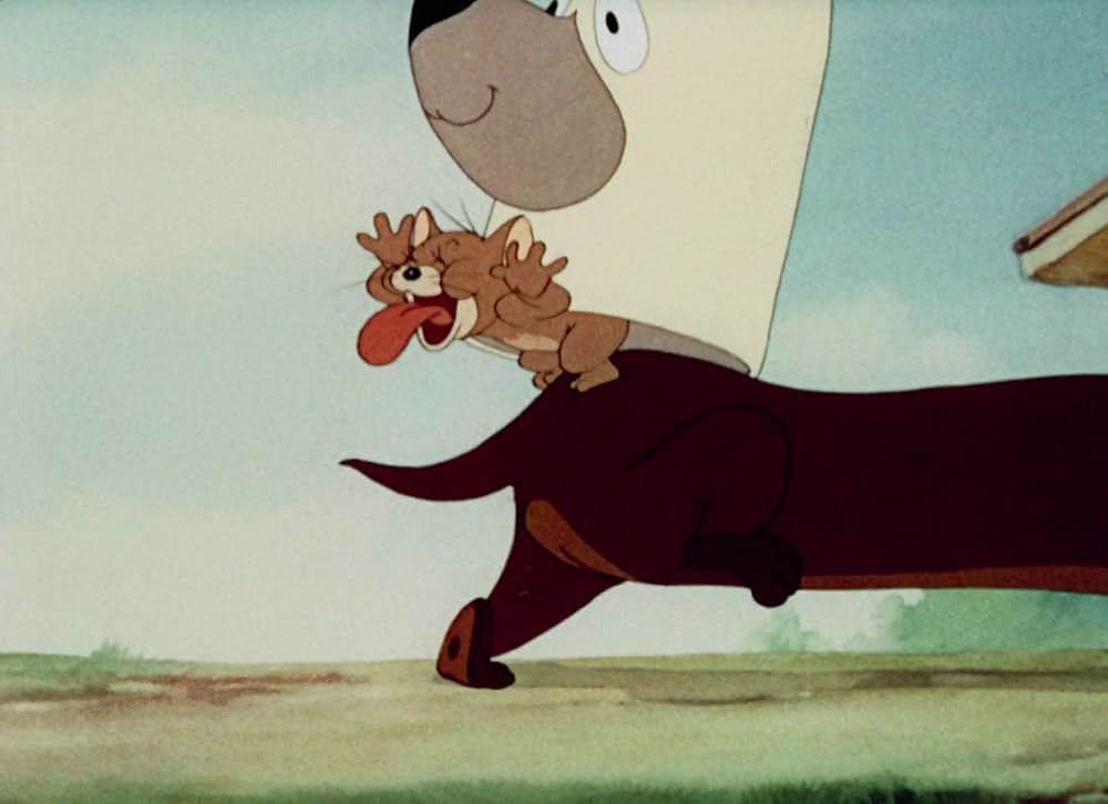 猫はやっぱり猫でしたの画像