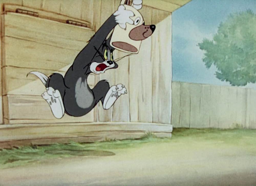 猫はやっぱり猫でしたの画像