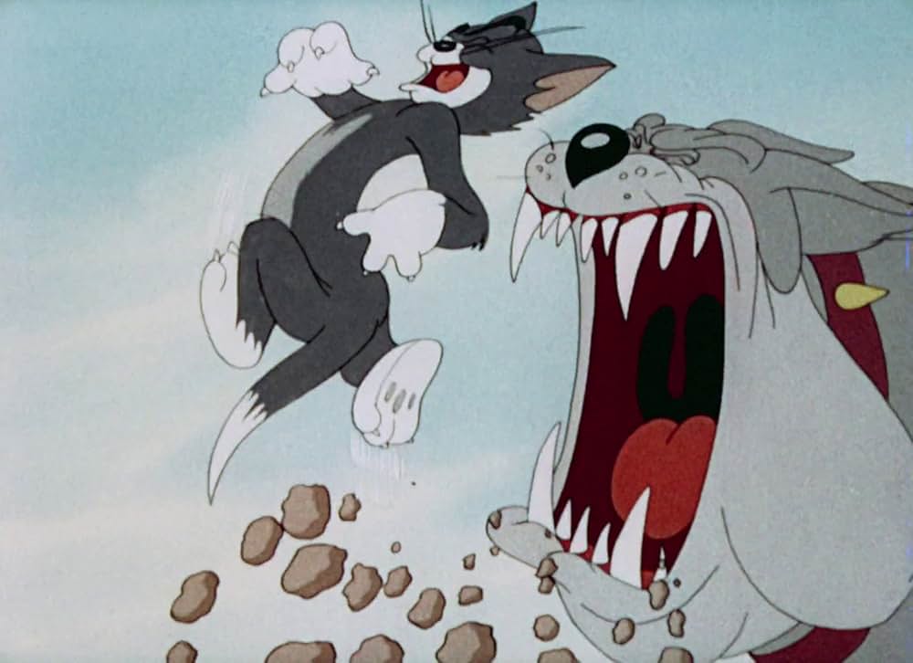 猫はやっぱり猫でしたの画像