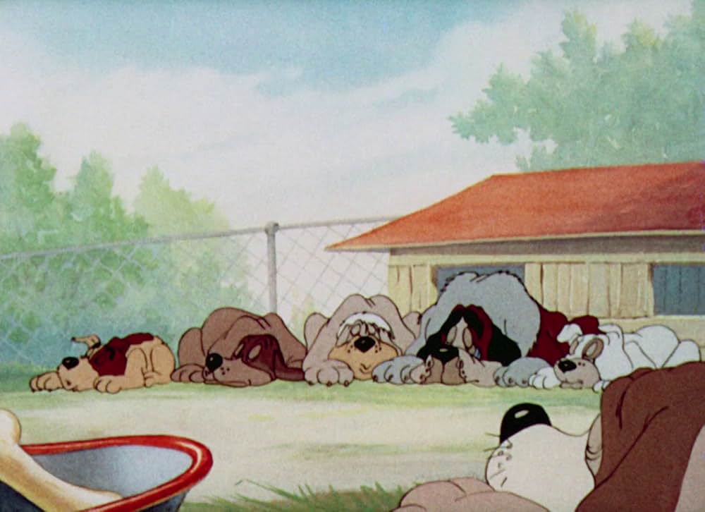 猫はやっぱり猫でしたの画像