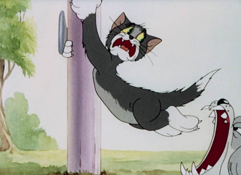 猫はやっぱり猫でしたの画像