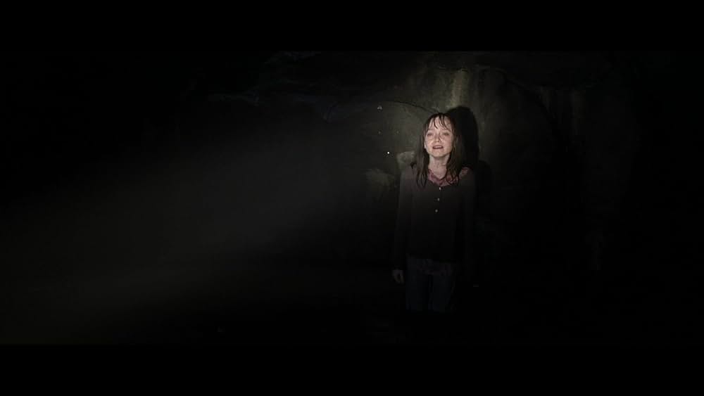 ハイド・アンド・シーク 暗闇のかくれんぼの画像