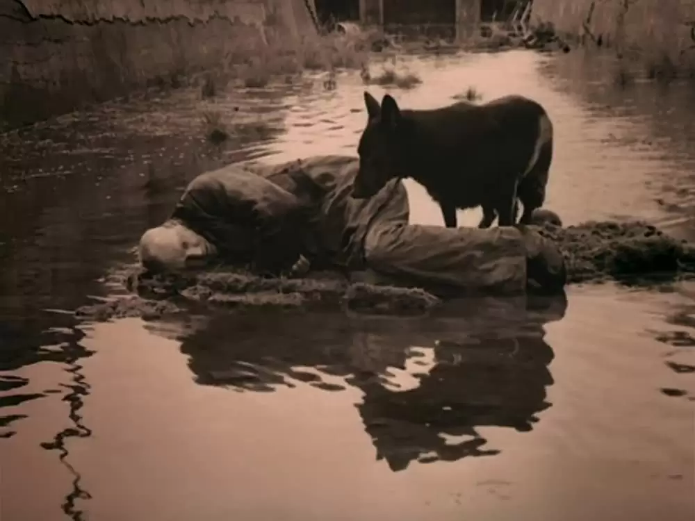 ストーカーの画像