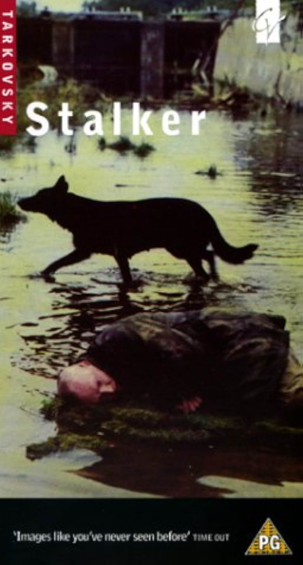 ストーカーの画像