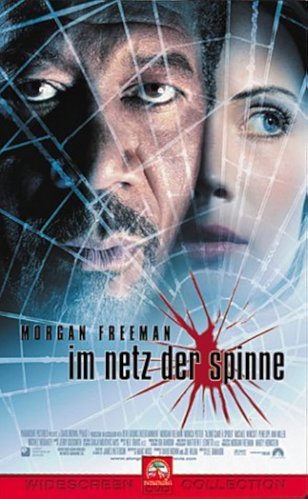 スパイダーの画像