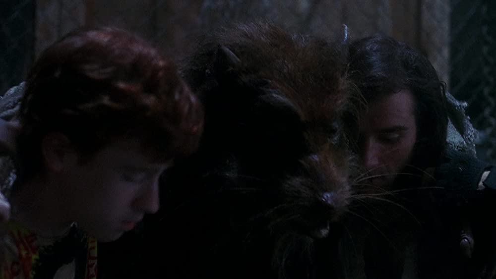 ミュータント・タートルズの画像