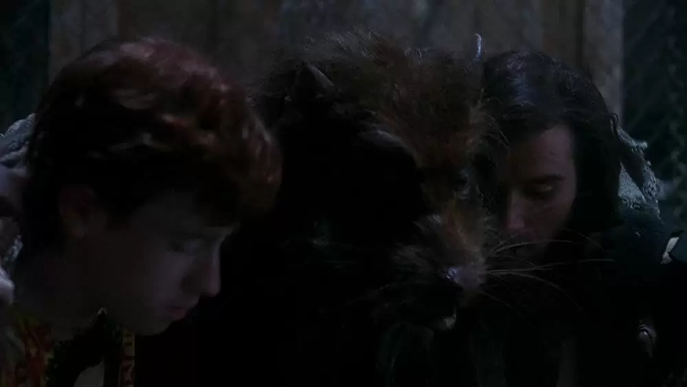 ミュータント・タートルズの画像