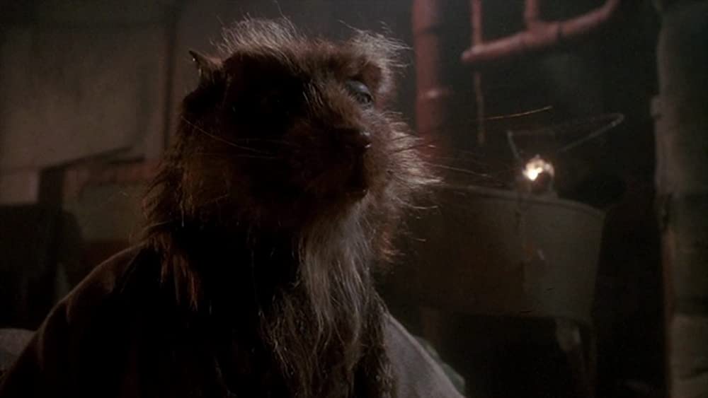 ミュータント・タートルズの画像