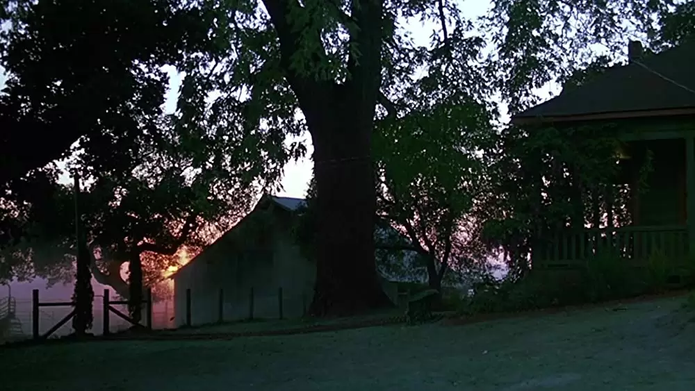 ミュータント・タートルズの画像