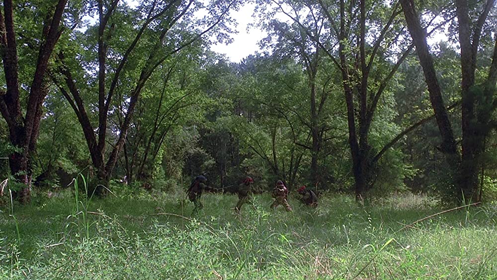 ミュータント・タートルズの画像