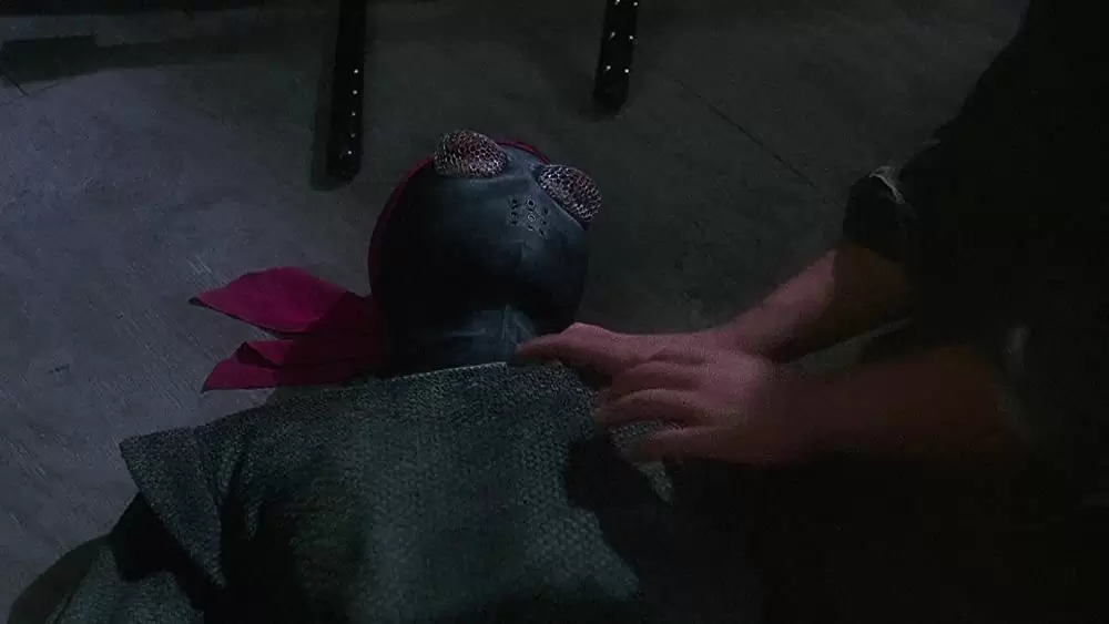 ミュータント・タートルズの画像