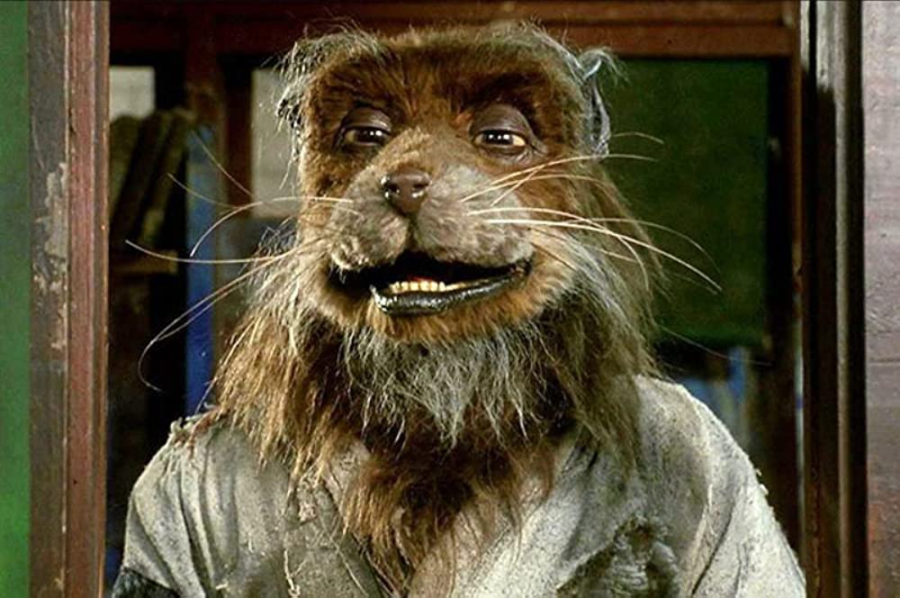 ミュータント・タートルズの画像