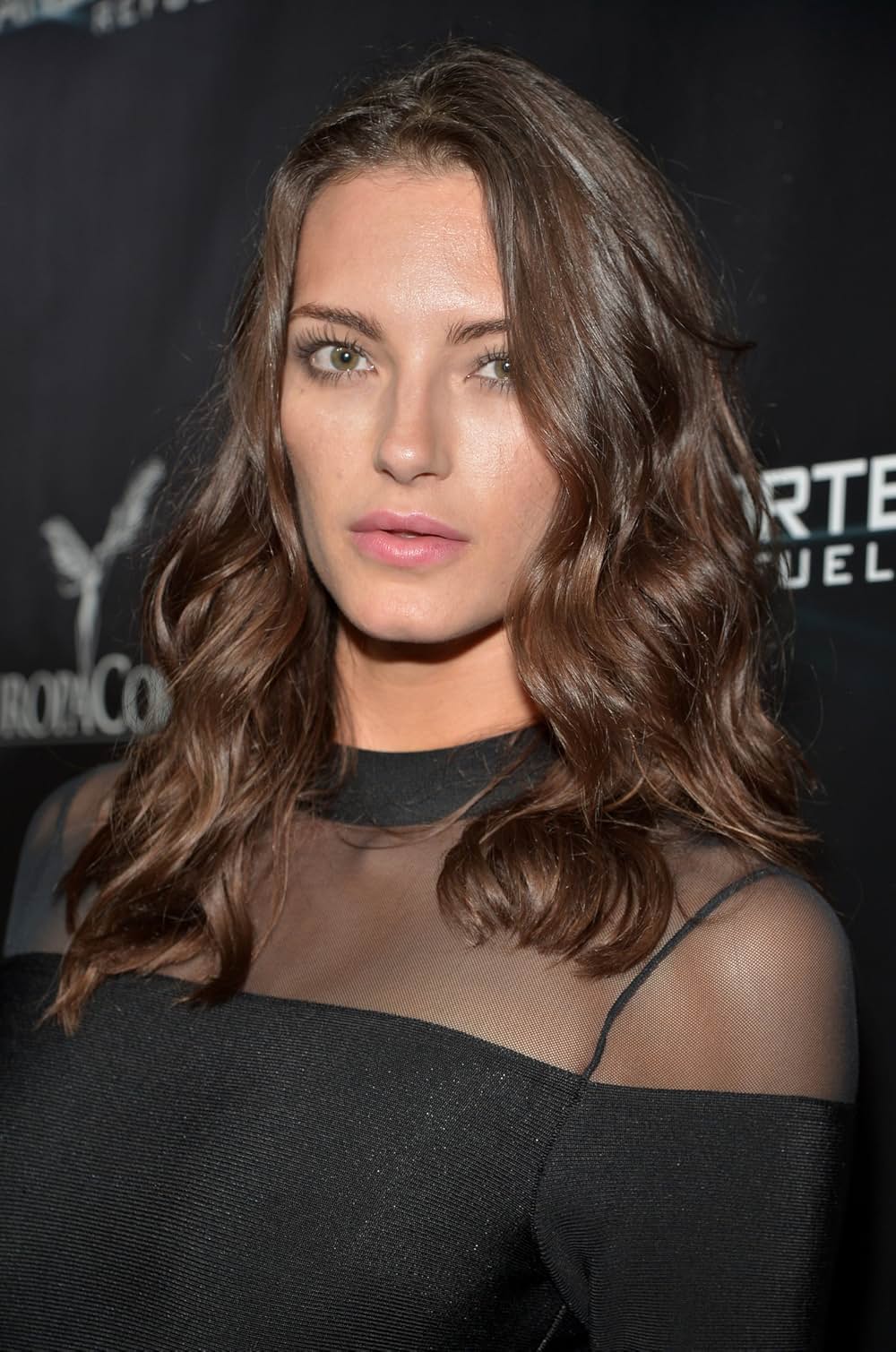 トランスポーター イグニションの画像