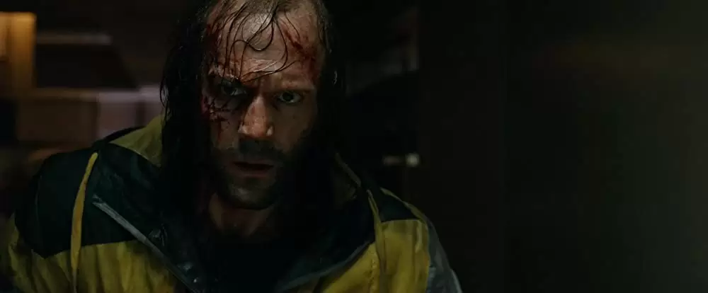 ハミングバードの画像