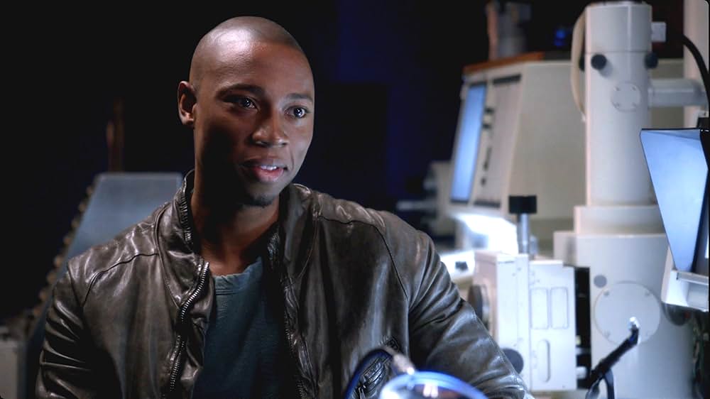 スカイゲートの画像