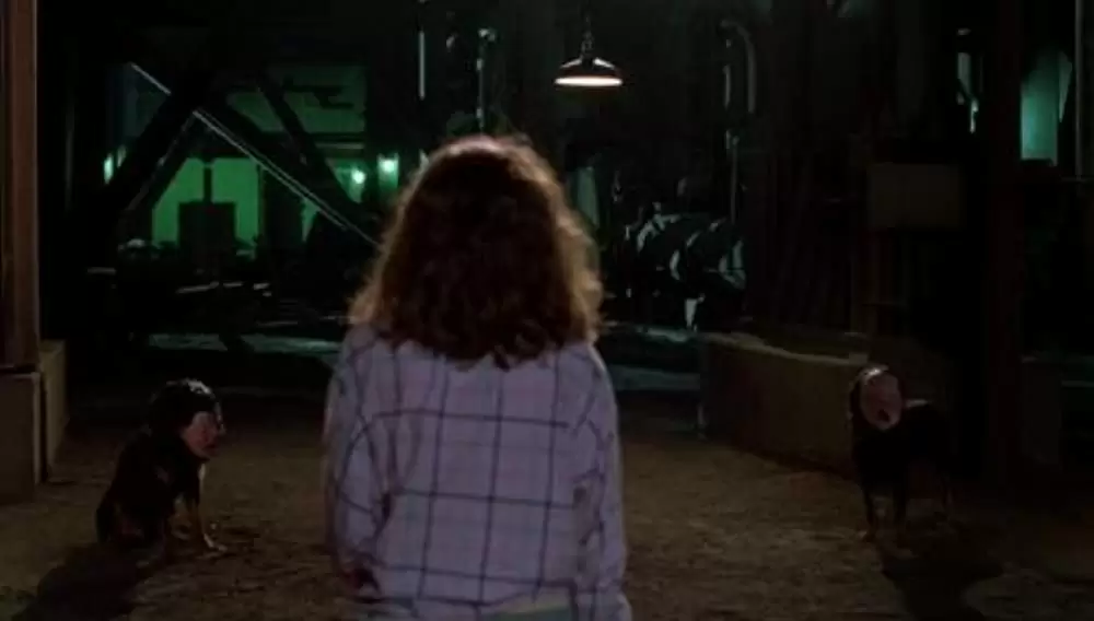 「エルム街の悪夢2 フレディの復讐」キム・マイヤーズの画像