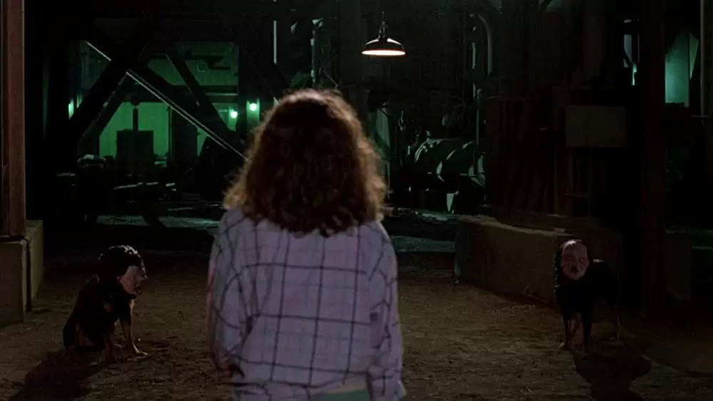 「エルム街の悪夢2 フレディの復讐」キム・マイヤーズの画像