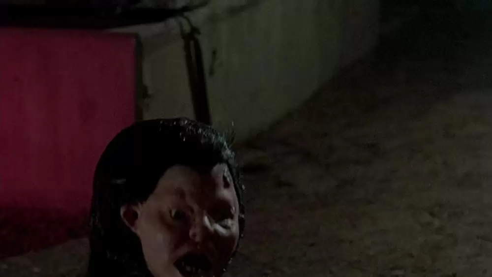 エルム街の悪夢2 フレディの復讐の画像