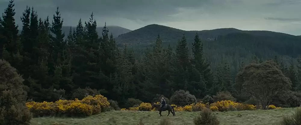 光をくれた人の画像