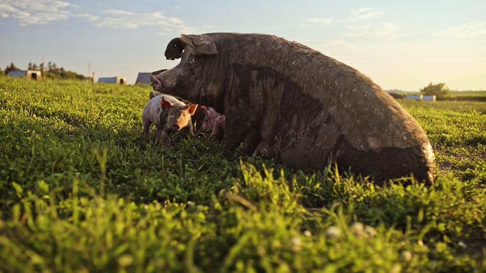 At the Fork（原題）の画像