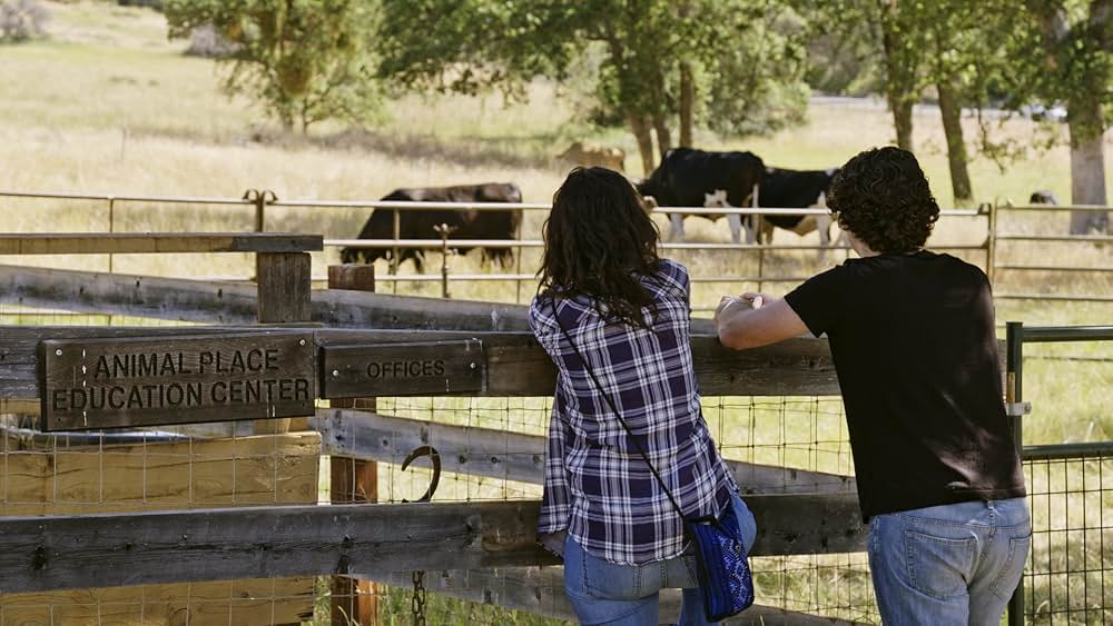 At the Fork（原題）の画像