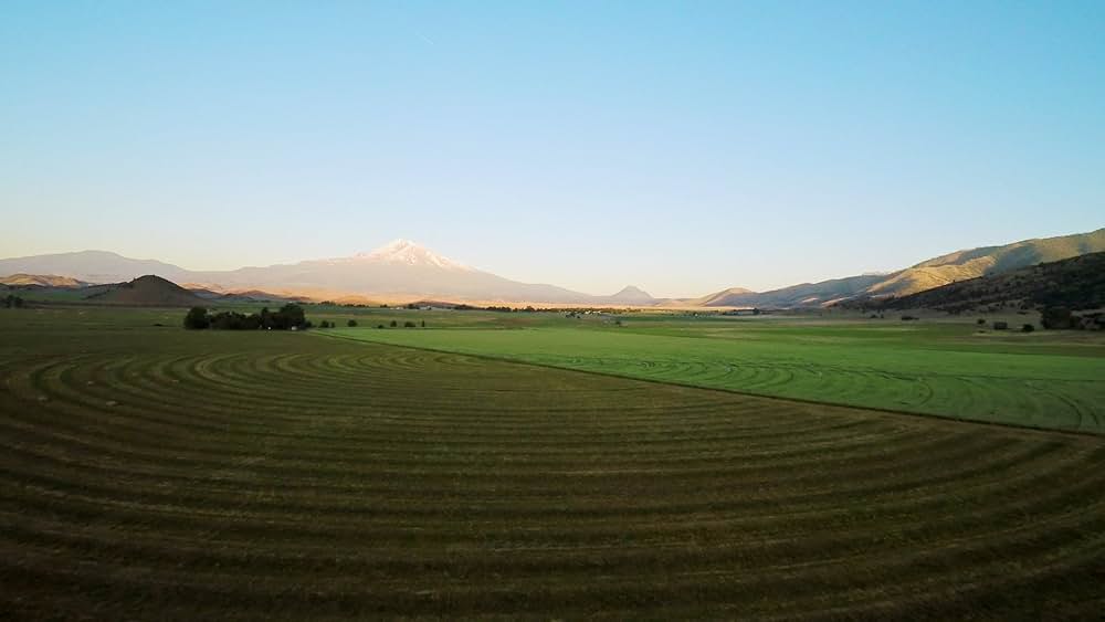 At the Fork（原題）の画像