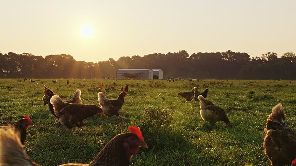 At the Fork（原題）の写真