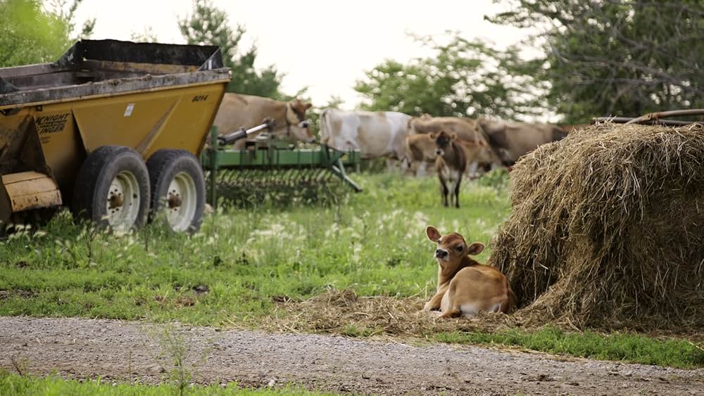 At the Fork（原題）の画像