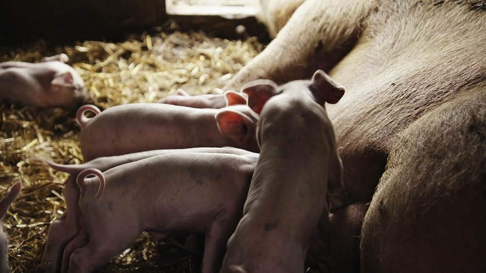 At the Fork（原題）の画像