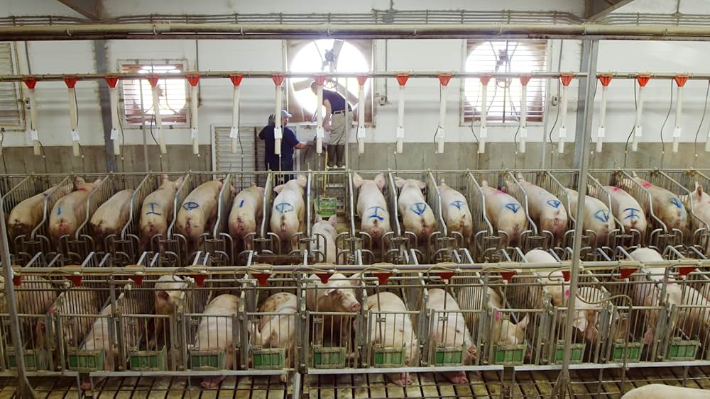 At the Fork（原題）の画像