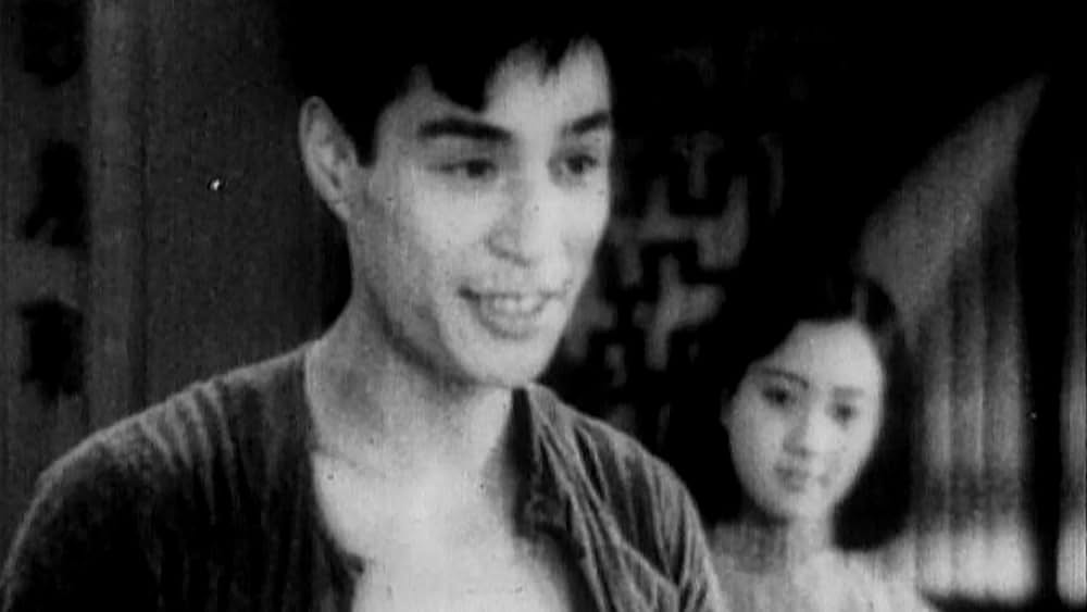 大いなる路の写真